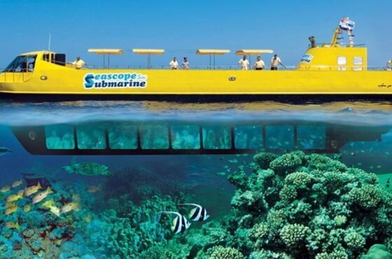 Semi-Submarine (Seascope)