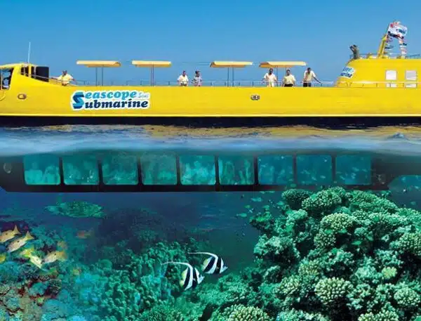 Semi-Submarine (Seascope)